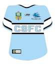 Sharks NRL Jersey Icing Image